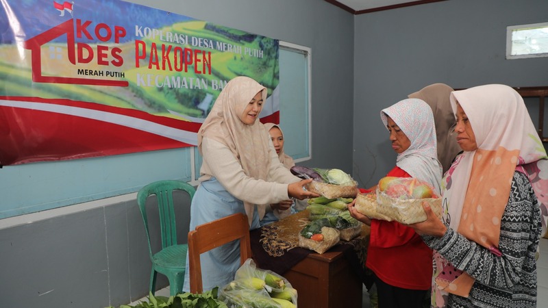 Pengurus Kopdes Merah Putih Pekopen menjalankan usaha koperasi dengan menjual saruy-sayuran segar, Kamis (1072025). (humas pemprov)